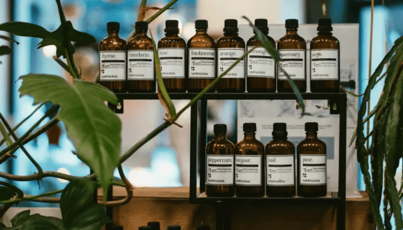 Ready - Set - Focus! 