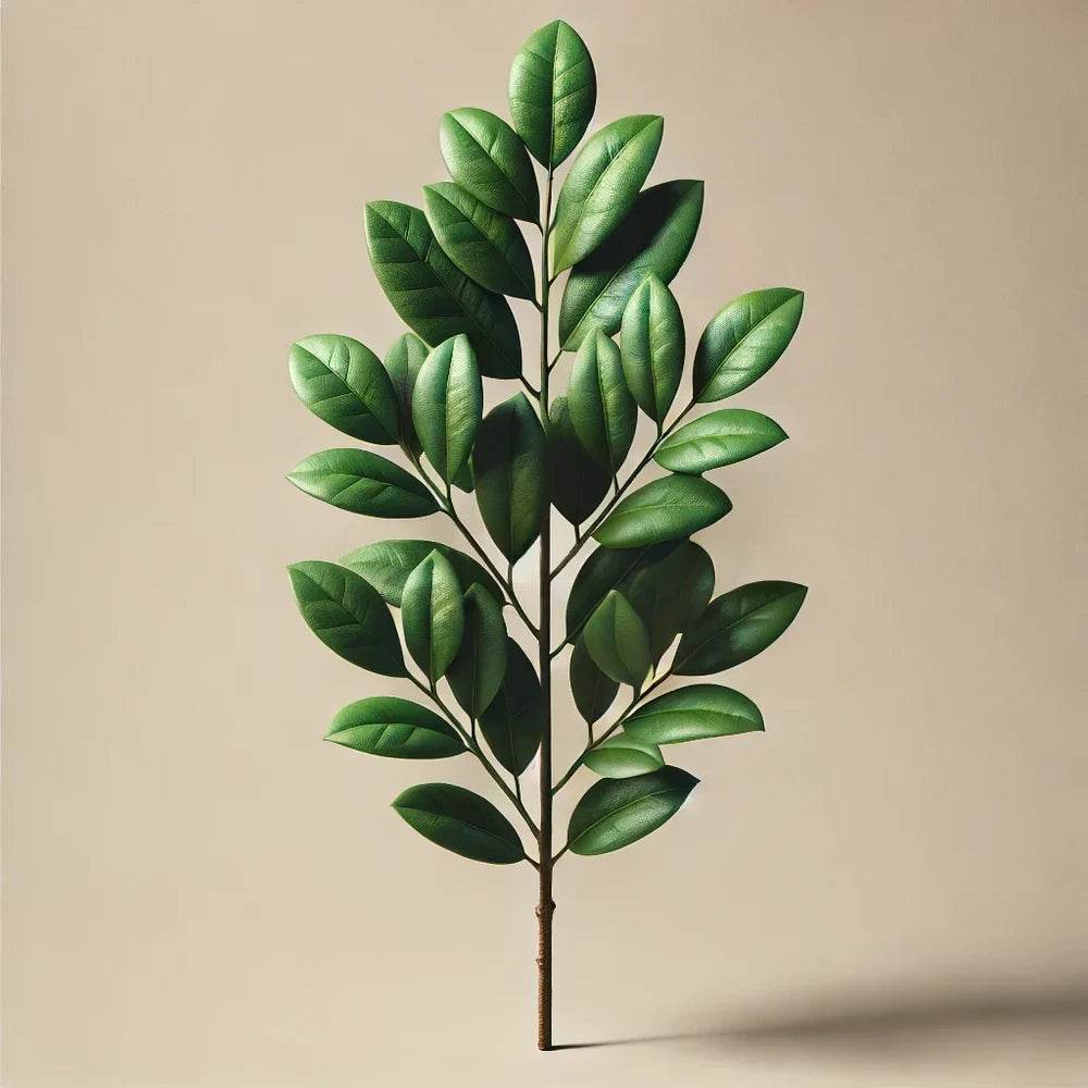 Oway Raw Mud - SieroSanto