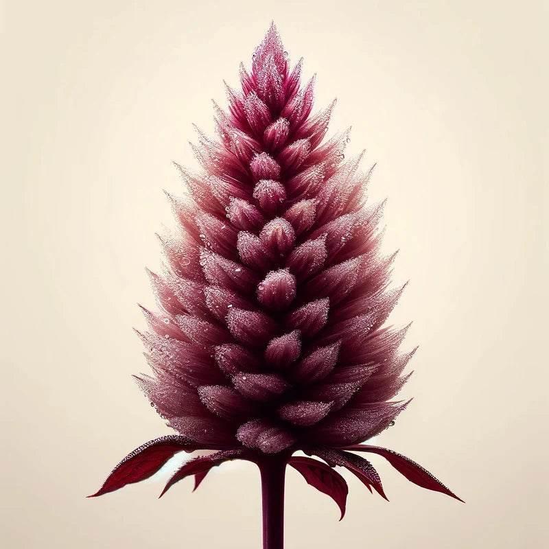 Oway Soothing - Soothing Remedy - SieroSanto