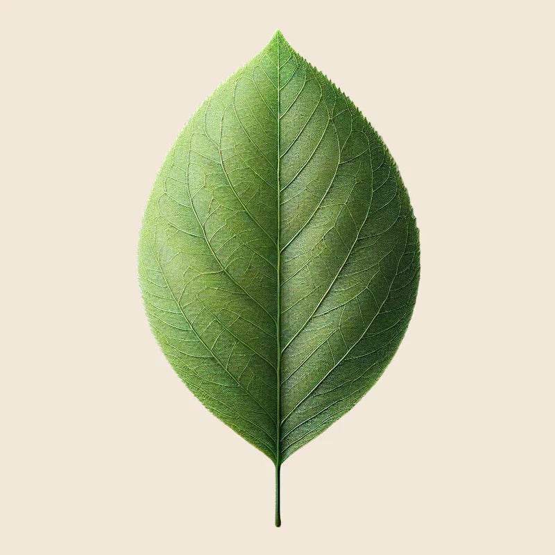 Oway Face & Beard Hydrating Cleanser - SieroSanto