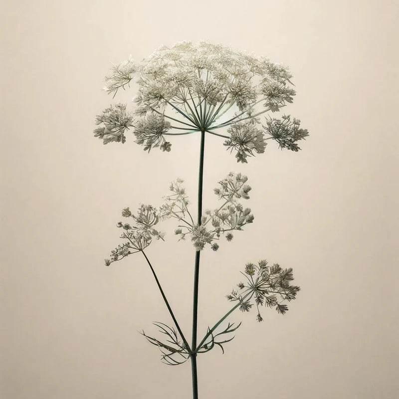 Oway Smoothing Hair Bath - 950ml - SieroSanto