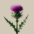 Oway Age Better Face Mask - SieroSanto