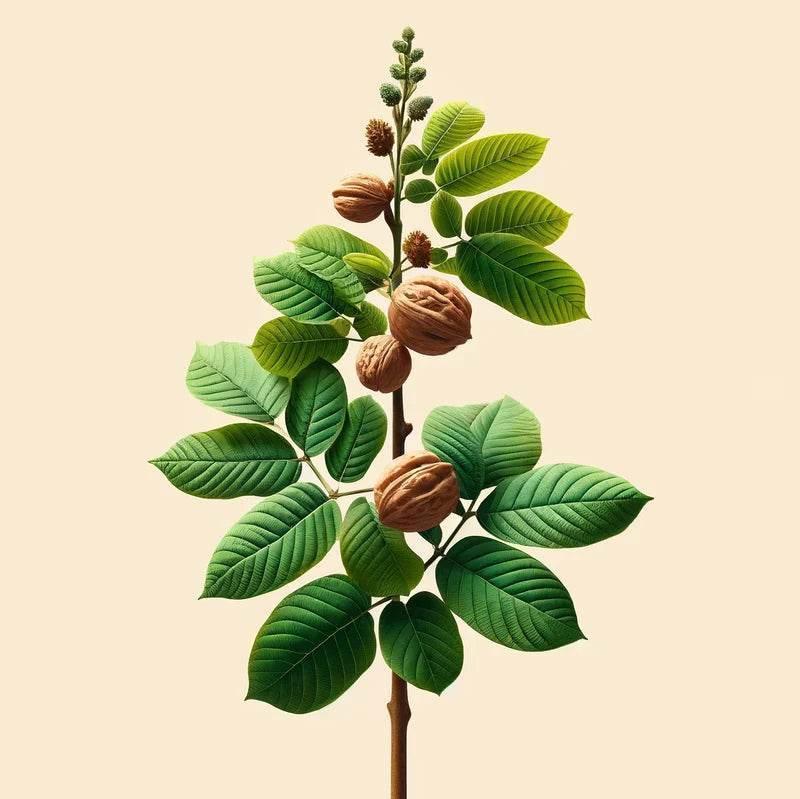 Oway Moisturizing Hair Mask - 500ml - SieroSanto