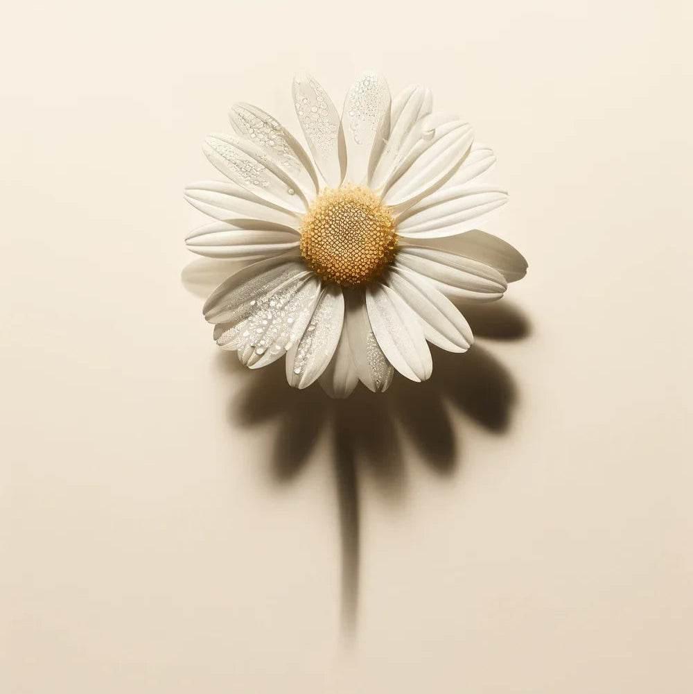 Oway Soothing - SieroSanto