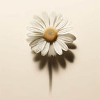 Oway Soothing - SieroSanto