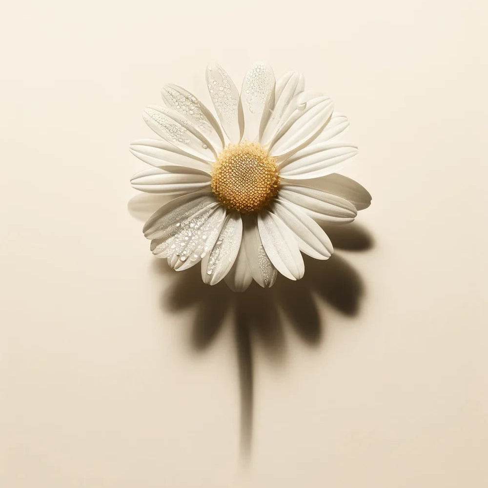 Oway Marvelous Skin Relief Face Cream - SieroSanto