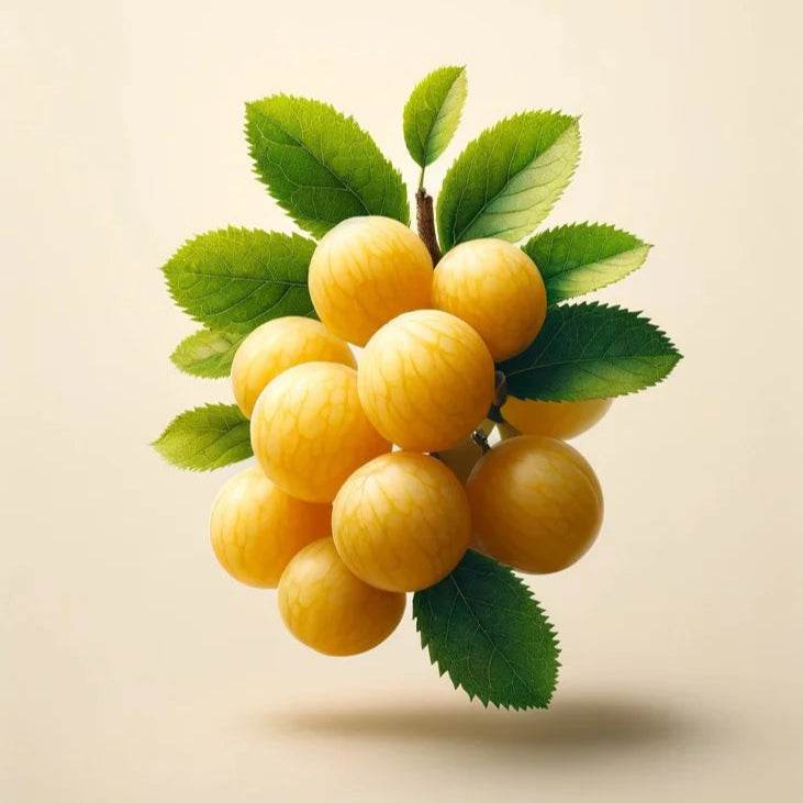 Oway Sculpting Mist - SieroSanto