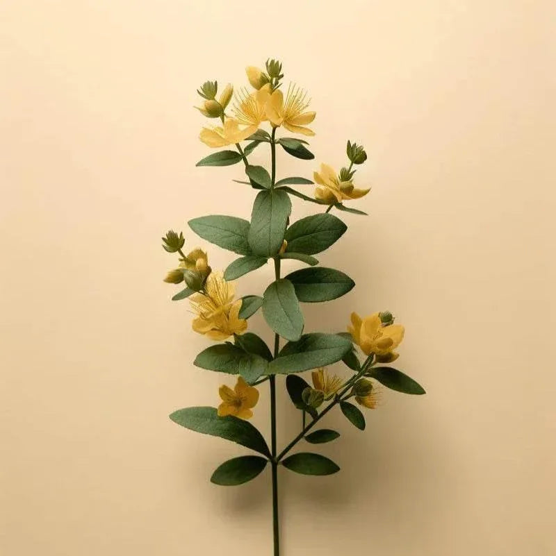 Oway Curly Hair Deep Mask - 500ml - SieroSanto