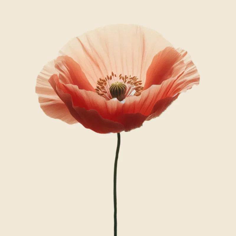 Oway Re-Lieving Face Serum - SieroSanto