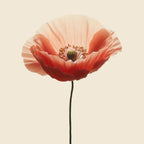 Oway Re-Lieving Face Serum - SieroSanto