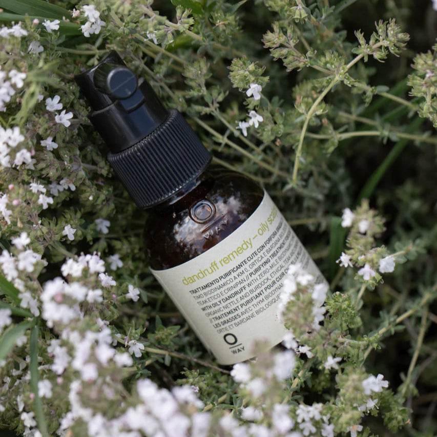 Oway Dandruff Remediy - Oily Scalps - SieroSanto