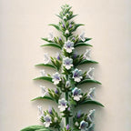 Oway Sebum Balance Hair Bath - 950ml - SieroSanto