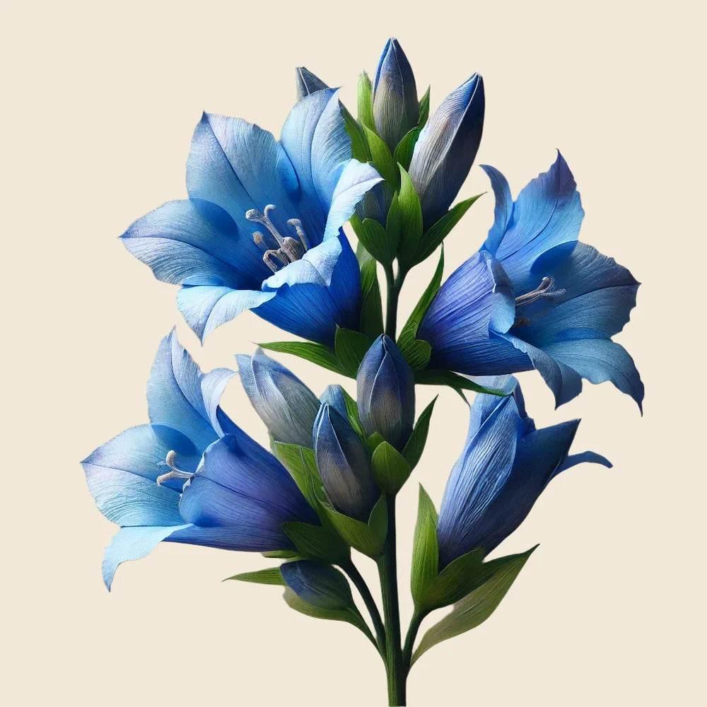 Oway Bluemoon Hair Mask - 500ml - SieroSanto