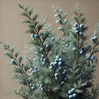 Oway Face & Eye Energizing Texture - SieroSanto