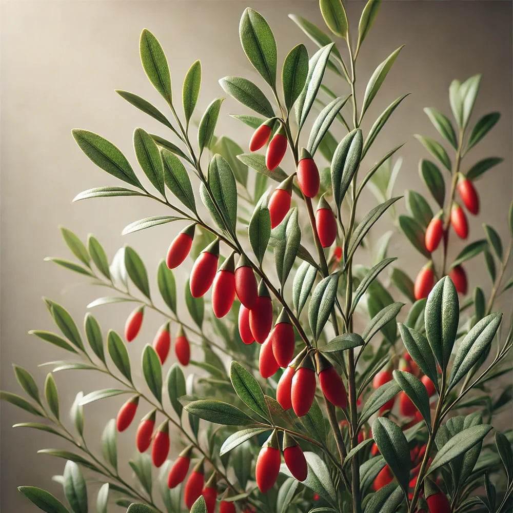 Oway Color Protection Hair Bath - 950ml - SieroSanto