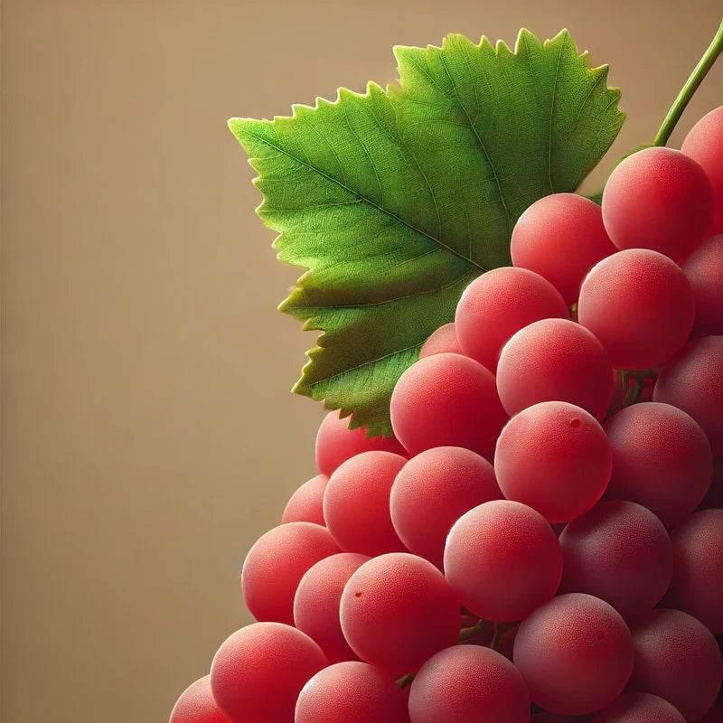 Oway Color Protection Hair Bath - 950ml - SieroSanto