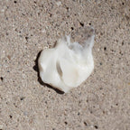 Oway Softening Shave Cream - SieroSanto