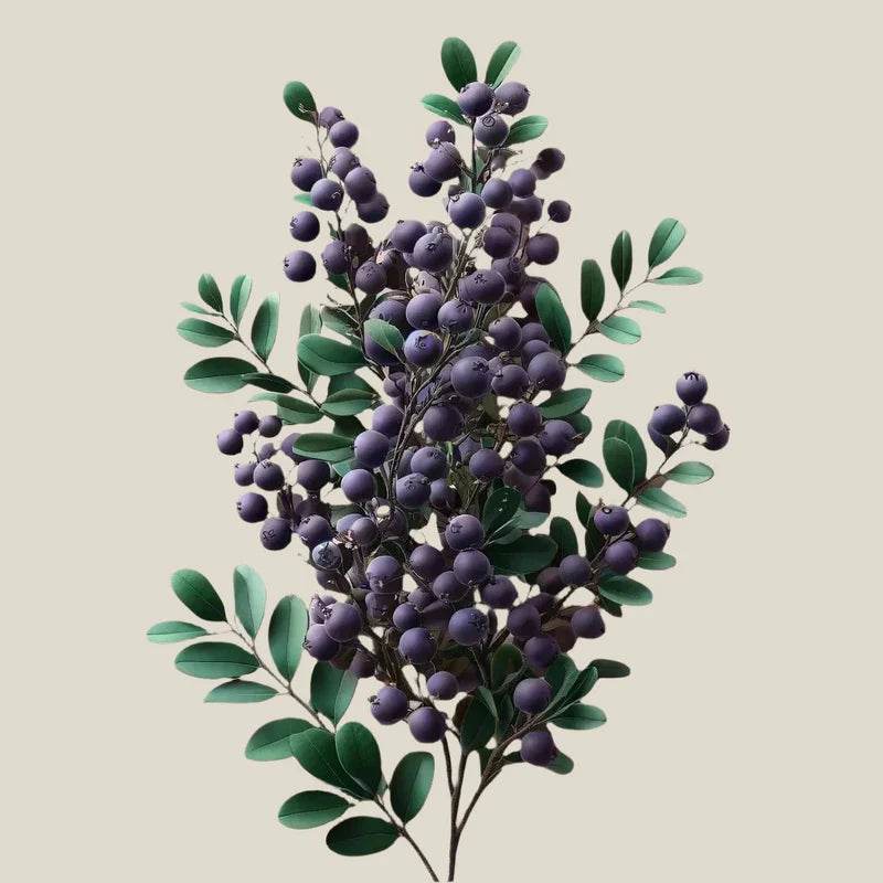 Oway Softening Shave Cream - SieroSanto