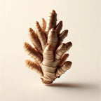 Oway Volumizing Hair Bath - 950ml - SieroSanto