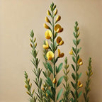 Oway Sunset Hour Hair Mask - 500ml - SieroSanto